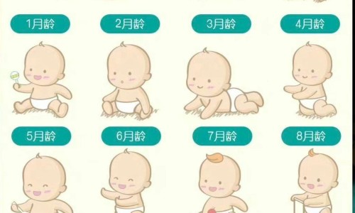 四莲活菌片-四连药图片、四连片药 -四莲胶囊说明书网
