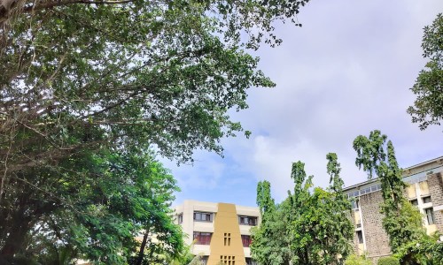 四莲活菌片-四连药图片、四连片药 -四莲胶囊说明书网